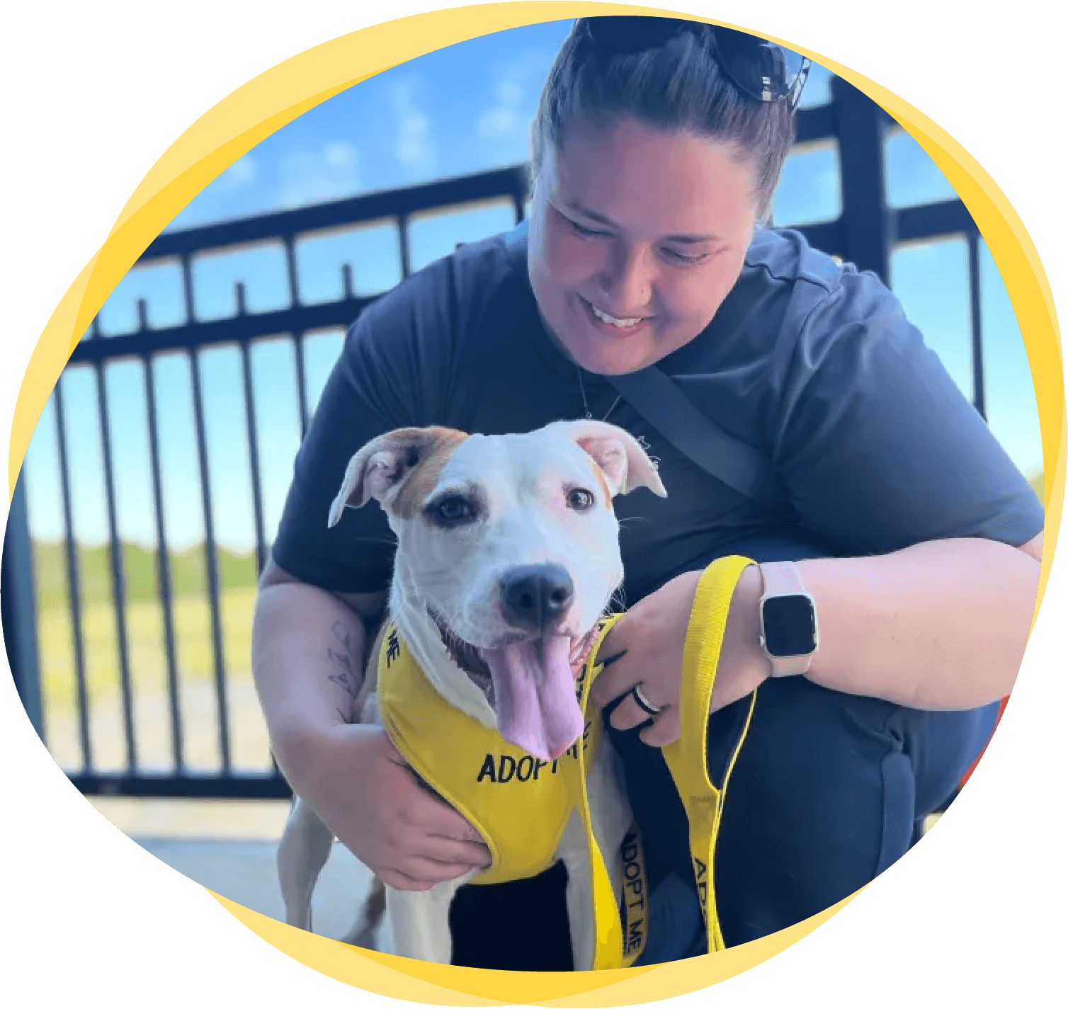 programs-doggie-dates