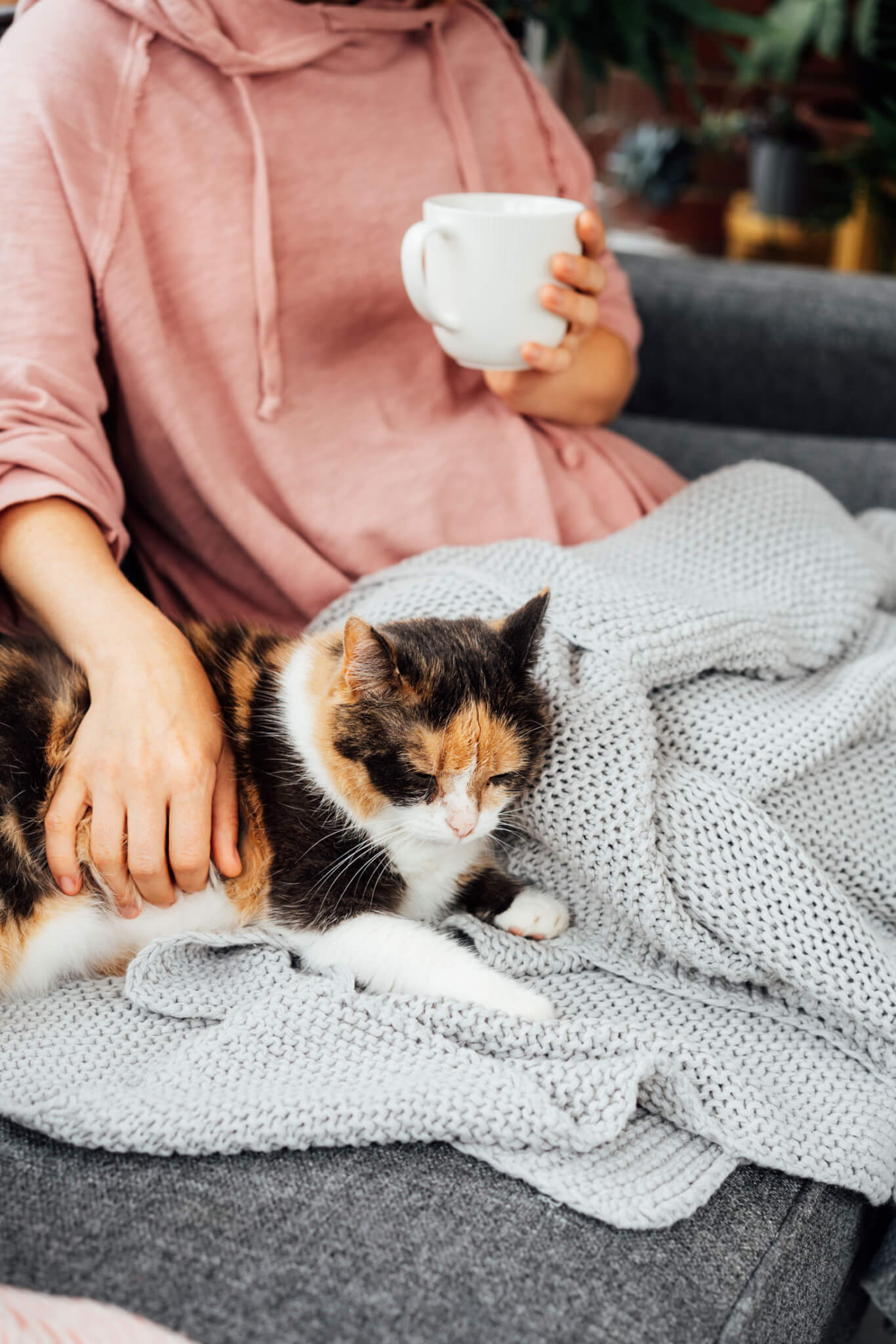 AdobeStock_546217306