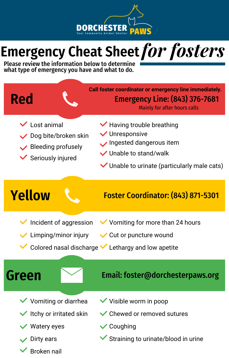 Foster-Care-Guide-2021